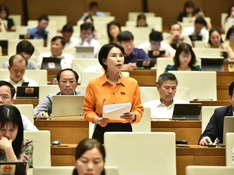 Cần xây dựng lộ trình chuyển đổi toàn bộ hộ kinh doanh sang mô hình doanh nghiệp gắn với xoá bỏ thuế khoán