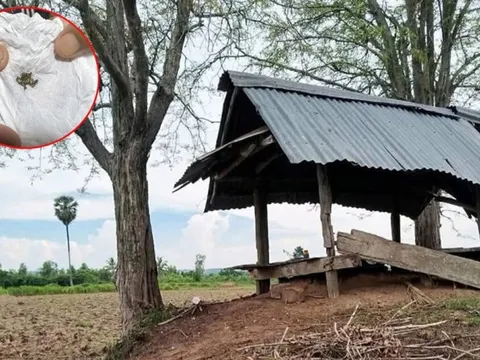 Ngồi trú mưa gần 2 cây me, cha chết lặng khi thấy con trai bị sét đánh tử vong