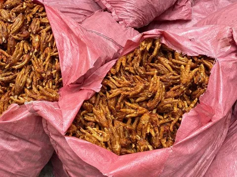 Thu giữ 1.500 kg chân gà không rõ nguồn gốc xuất xứ