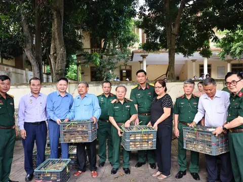 Sức sống mới từ chính sách an sinh cho nạn nhân bom mìn