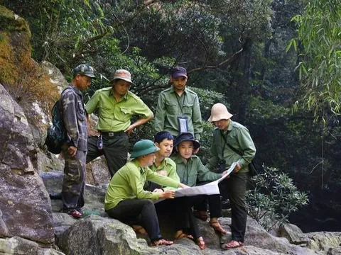 Quảng Trị có bao nhiêu diện tích rừng được hưởng lợi từ "bán không khí" năm 2025?