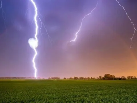 Vừa gặt lúa vừa xem điện thoại, nam thanh niên 32 tuổi bị sét đánh tử vong