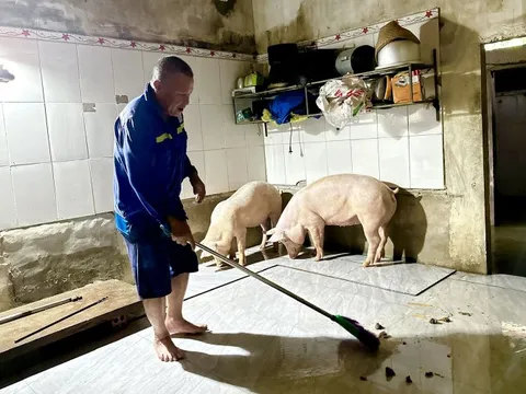 Lũ vào mùa hè tại Hà Tĩnh là bất thường
