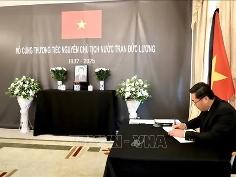 Đại sứ quán Việt Nam tại Đức tổ chức Lễ viếng nguyên Chủ tịch nước Trần Đức Lương