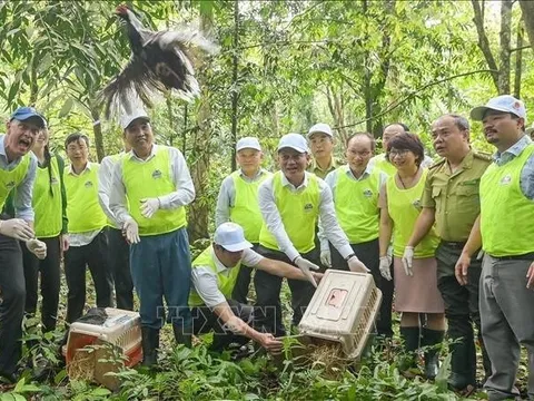 Việt Nam thuộc 16 quốc gia sở hữu đa dạng sinh học cao nhất thế giới