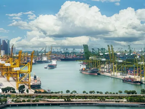 Từ cảng biển đến đô thị logistics quốc tế: Thâm Quyến, Singapore và diện mạo Hải Phòng