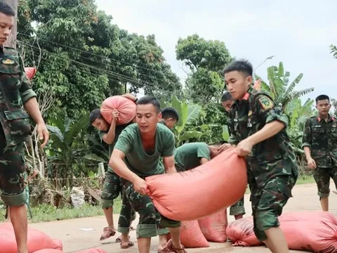 Cơ sở sấy lúa chạy hết công suất, hỗ trợ bà con vùng lũ Hà Tĩnh