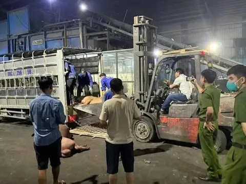 Vĩnh Phúc: Phát hiện hơn 1 tấn thịt lợn bẩn chuẩn bị tuồn ra thị trường