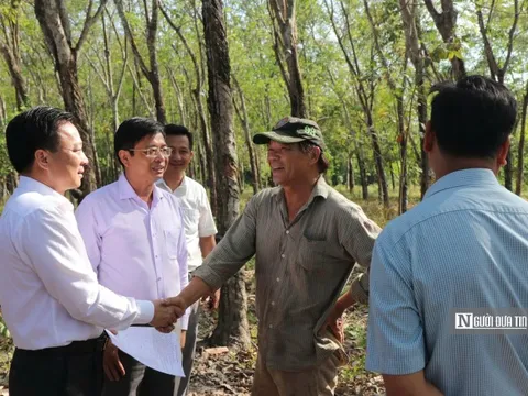 Tập đoàn Sơn Hải bỏ giá thầu thấp nhất vẫn bị loại: Chủ đầu tư nói gì?