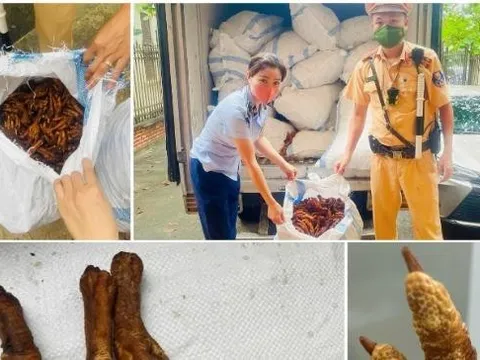 Công an Hà Nội phát hiện, thu giữ hơn 1,4 tấn chân gà không rõ nguồn gốc tại huyện Thạch Thất