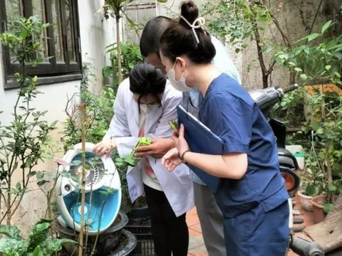 Chủ động diệt loăng quăng, ngăn chặn sốt xuất huyết bùng phát