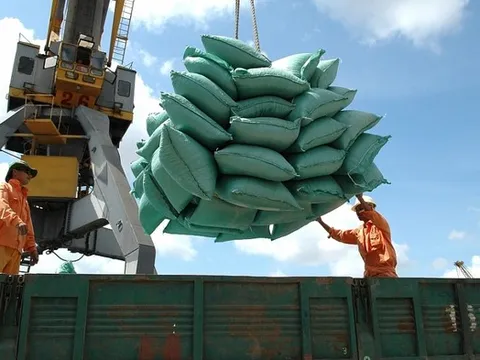 VCCI kiến nghị bỏ loạt quy định cản trở doanh nghiệp xuất khẩu gạo