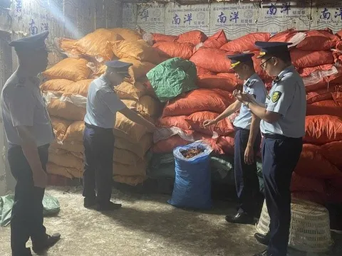 Phát hiện gần 8 tấn chân gà không rõ nguồn gốc đang chờ tiêu thụ
