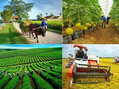 Chắp cánh kinh tế nông thôn từ Nghị quyết 68