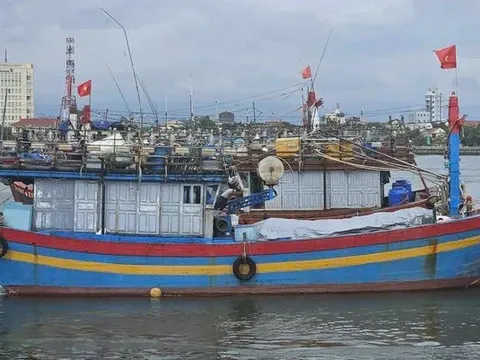 Nguyên nhân khiến 11 tàu cá ở Quảng Bình bị phạt gần 1,4 tỷ đồng