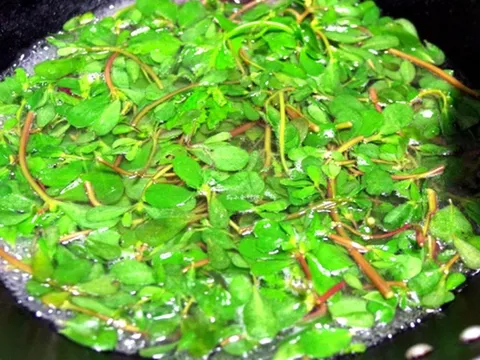 2 loại rau không lo "ngậm" thuốc trừ sâu, loại đầu bảng người Việt ít ai hay