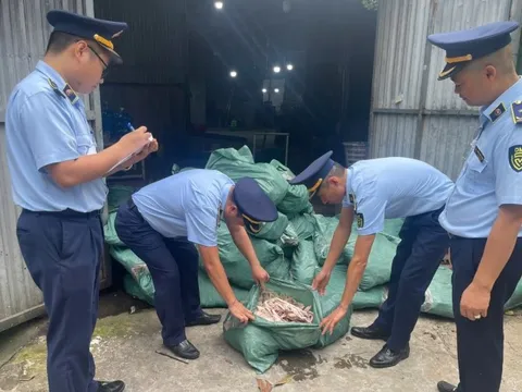 Bản tin 29/5: Phát hiện gần 8 tấn chân gà không rõ nguồn gốc
