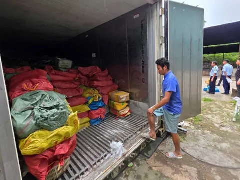 Phát hiện kho lạnh chứa hàng chục tấn mực, chân gà đã bốc mùi