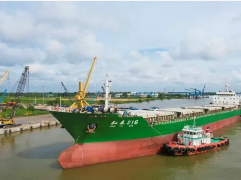 Khác thác tuyến biển Cần Thơ - Cái Mép: Cú hích mới cho logistics vùng ĐBSCL