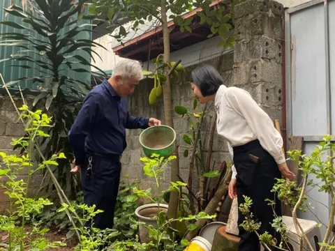 Hà Nội: Số ca mắc sởi, tay chân miệng có xu hướng giảm, tiếp tục tăng cường phòng chống dịch
