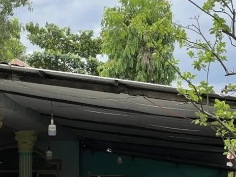 Bản tin 1/6: Gọi mãi không được, vợ leo lên mái nhà thì thấy chồng nằm bất động