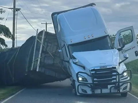 Hàng trăm triệu con ong thoát ra ngoài sau khi xe tải bị lật