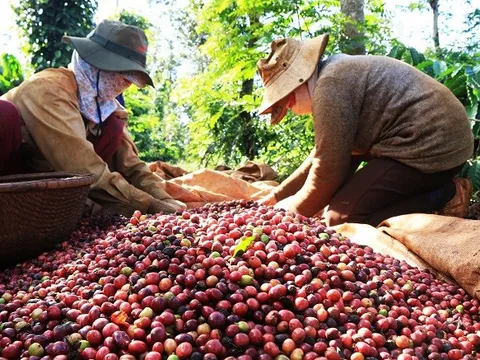 Dư địa rộng mở trong quan hệ thương mại Việt Nam - Estonia