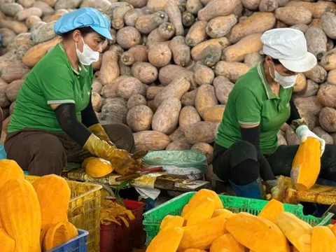Xuất khẩu nhiều sản phẩm nông sản chủ lực tăng giá trị