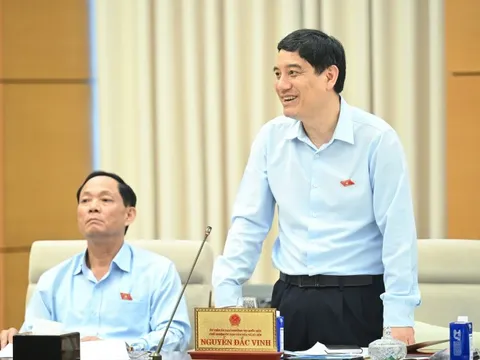 Thuế tiêu thụ đặc biệt góp định hướng tiêu dùng của người dân