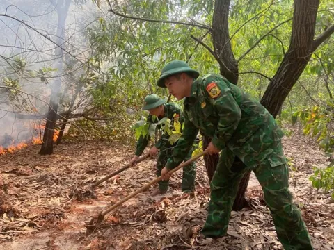 Nắng nóng gay gắt, miền Trung kích hoạt hệ thống cảnh báo sớm phòng chống cháy rừng