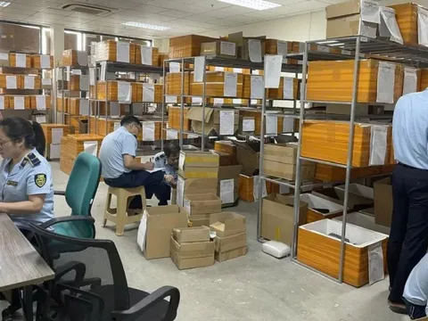 Tiger Display Global bị phạt hơn 120 triệu, tiêu hủy lượng lớn pin điện thoại nhập lậu