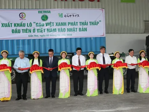 Xuất khẩu 'Gạo Việt xanh, phát thải thấp' đầu tiên sang Nhật Bản
