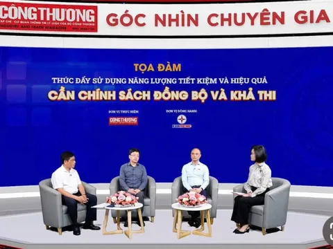 Hoàn thiện chính sách để thúc đẩy sử dụng năng lượng tiết kiệm và hiệu quả