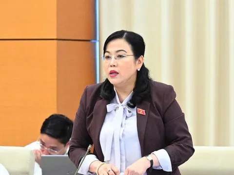 Chủ tịch, Phó Chủ tịch HĐND cấp tỉnh, cấp xã không nhất thiết là đại biểu HĐND