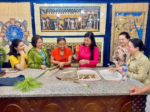 Thúc đẩy hơn nữa mối quan hệ hợp tác giữa Hà Nội và các địa phương tại Ai Cập và Nam Phi