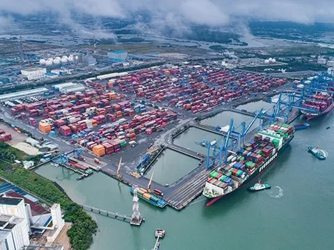Nghiên cứu thành lập tổ chức phối hợp liên ngành tại địa phương về phát triển bền vững kinh tế biển