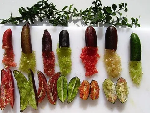 Loại quả bé như ngón tay "đắt nhất thế giới", giá lên tới 3 triệu đồng/kg