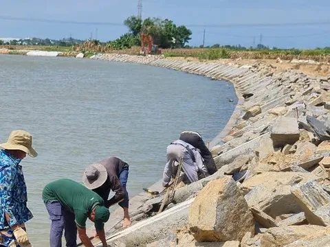 Dự án 125 tỷ đồng chống sạt lở ở Đà Nẵng “kẹt” vật liệu, vướng mặt bằng