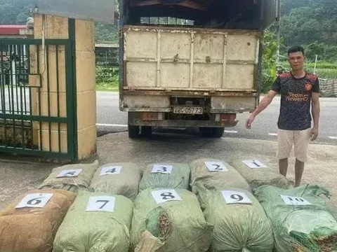 Phát hiện, thu giữ hơn 1 tấn nguyên liệu thuốc lá tại Cao Bằng