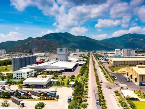 Bình Định:Chấp thuận đầu tư 700 tỷ đồng xây dựng nhà máy sản xuất giấy tại KCN Nhơn Hòa
