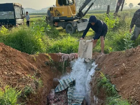 Nghệ An “lập barie” ngăn chặn nội tạng động vật bốc mùi tuồn vào thị trường