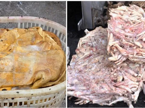 Tiêu hủy hơn 25 tấn thực phẩm đông lạnh bốc mùi hôi thối, đang bị phân huỷ