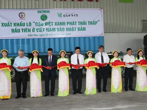 Thời cơ cho gạo Việt Nam xuất khẩu sang Nhật Bản