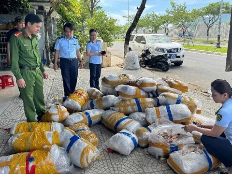 Phát hiện hơn 700kg mực khô bị vứt bỏ trên vỉa hè ở Đà Nẵng