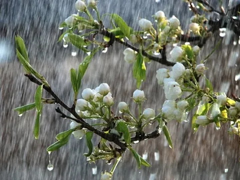 Cảnh báo mưa lớn cục bộ nhiều nơi trên cả nước