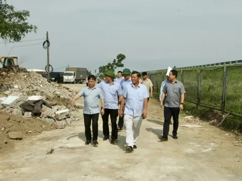 Hải Phòng tạm dừng chuyển đổi mục đích đất sang đất ở trước khi sáp nhập với Hải Dương