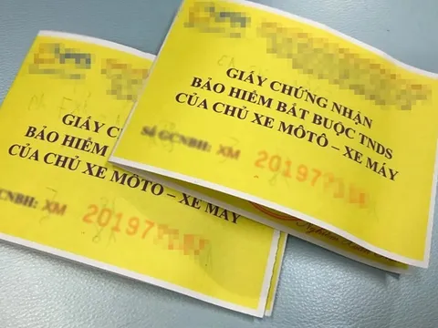 Bảo hiểm xe cơ giới góp phần bảo vệ tài chính cho người tham gia giao thông