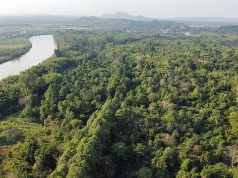 Nhiều quy định mới về giảm nhẹ phát thải khí nhà kính và bảo vệ tầng ozone