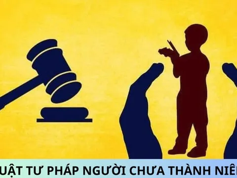 Triển khai thi hành Luật Tư pháp người chưa thành niên