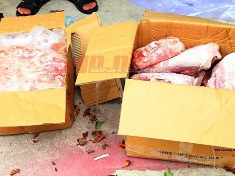 Phát hiện hơn 11 tấn thực phẩm đông lạnh không rõ xuất xứ, hết hạn sử dụng